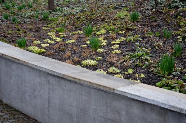 Concrete Wall Construction in Crestview