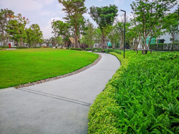 Cement Walkway Service in Crestview